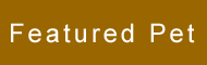 featuredpet
